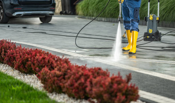 Best Restaurant Pressure Washing  in China Grove, TX